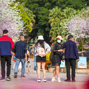 实拍佛山第一座城市公园，繁花之下是佛山人的幸福生活与文化传承 ...