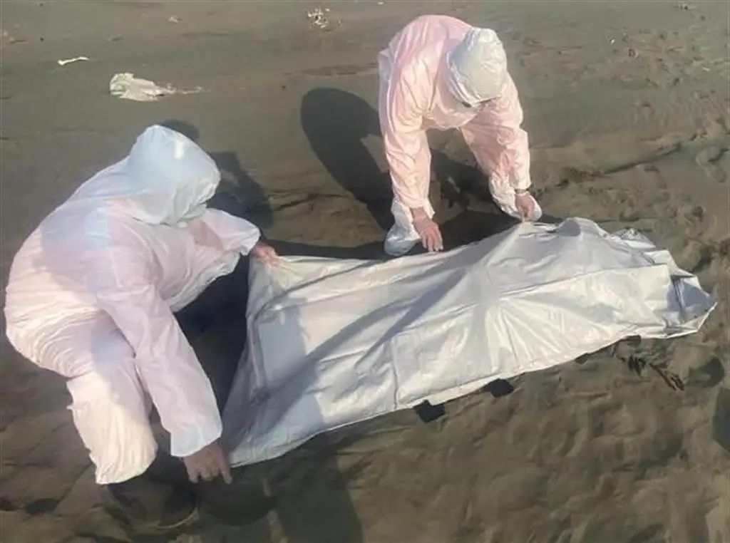 台湾多地惊现浮尸，“已增至20具”