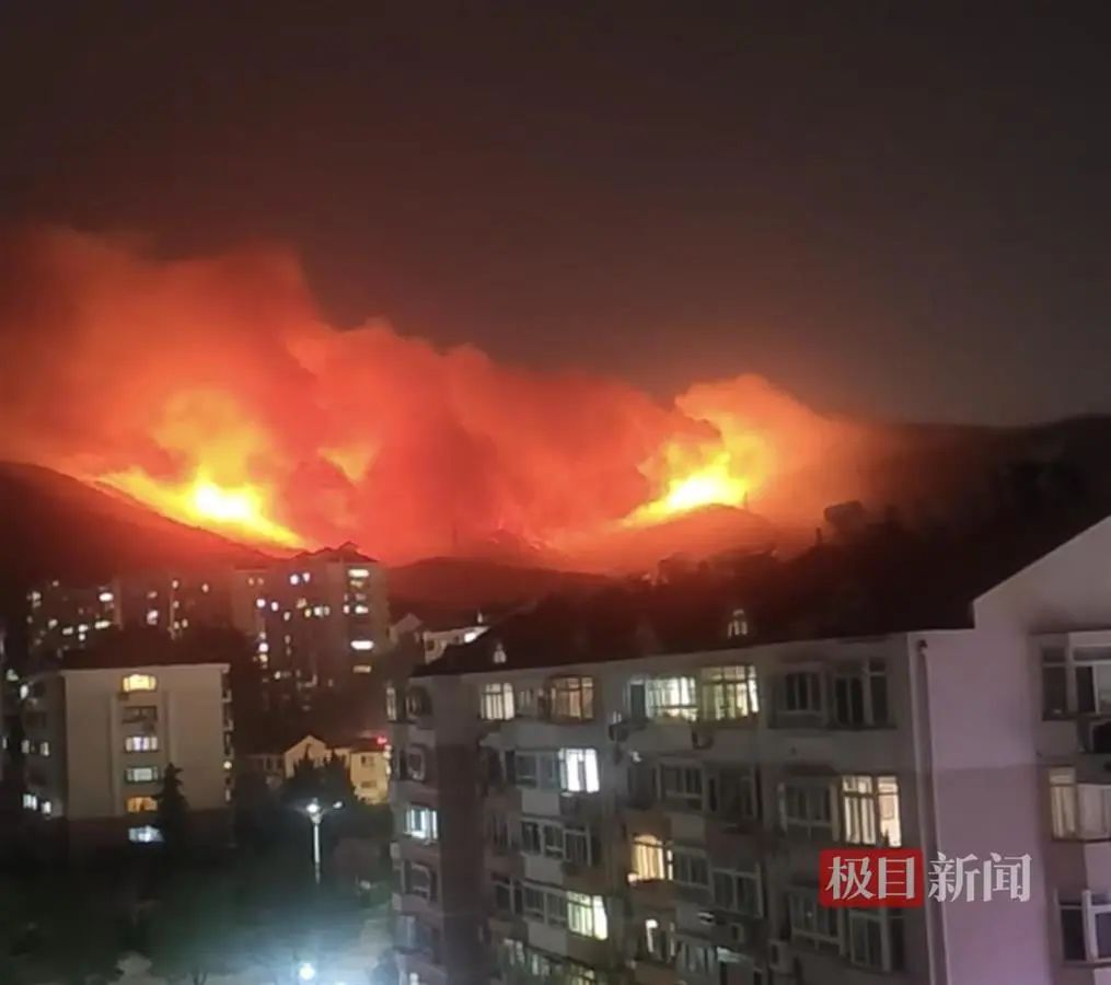 突发山火，嫌疑人已被刑拘！