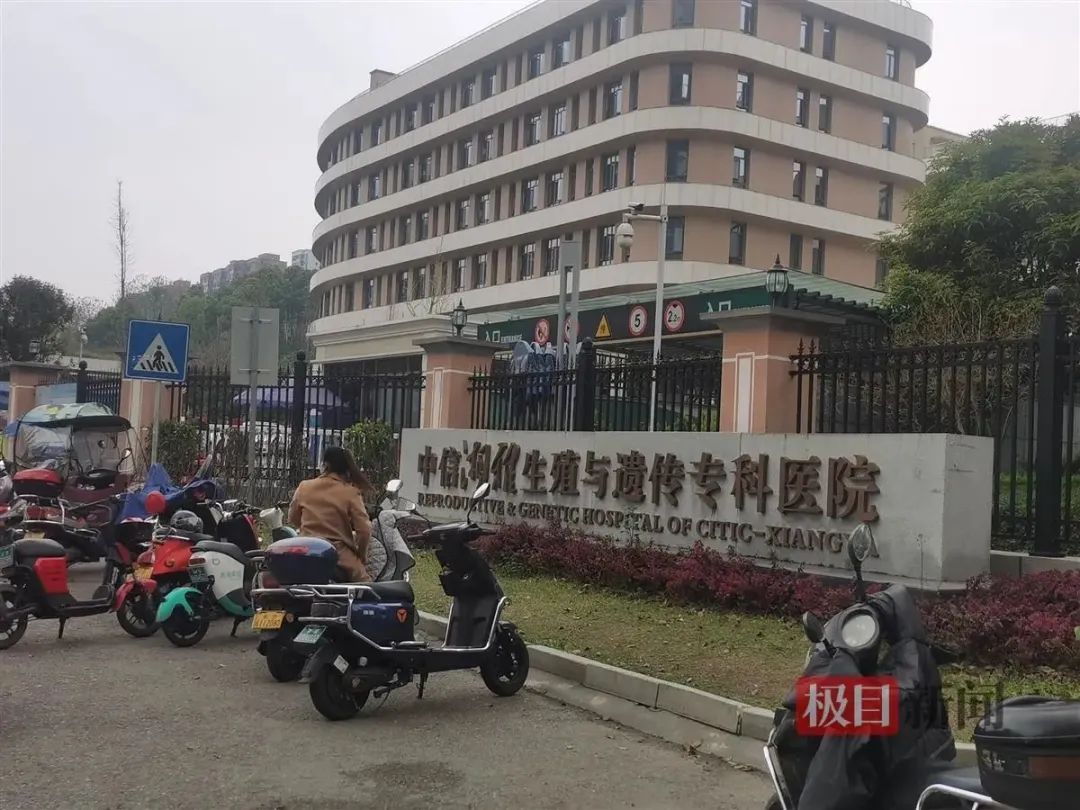 夫妻做试管生下龙凤胎，女儿却与丈夫无血缘关系！院方回应 ...