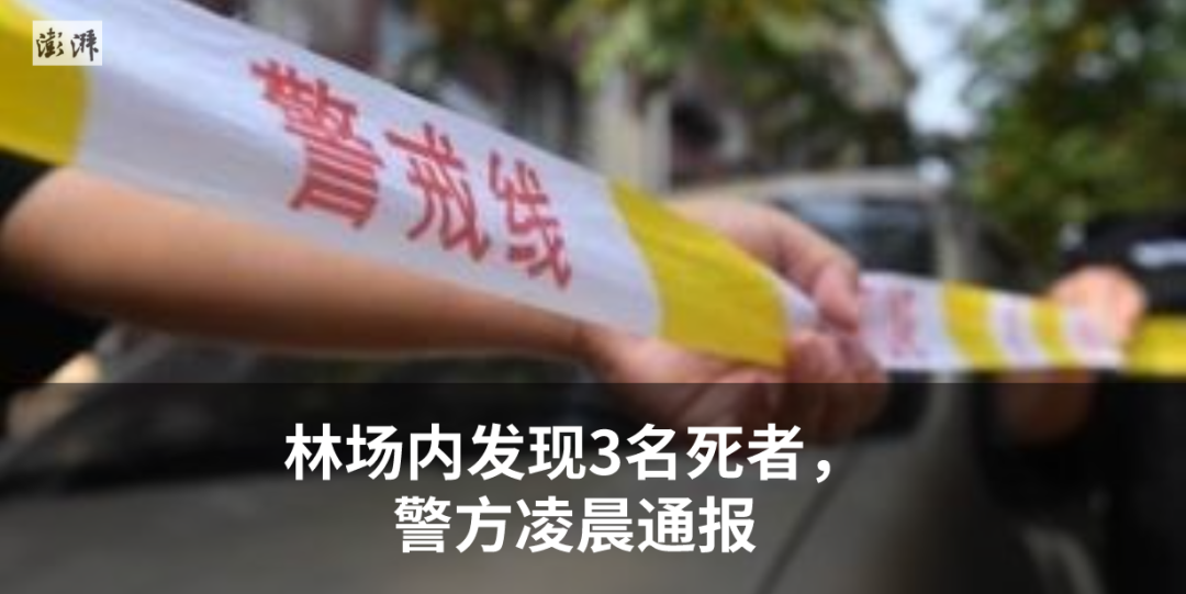 “99元睡大厅”？酒店回应