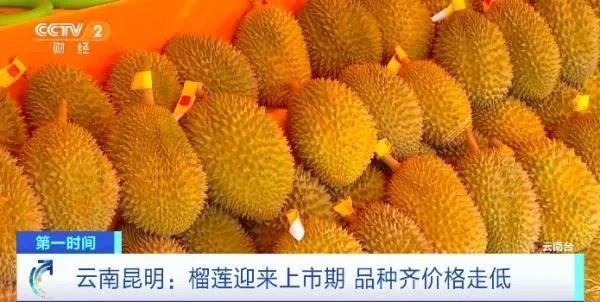 榴莲正大量上市，价格走低？网友欢呼