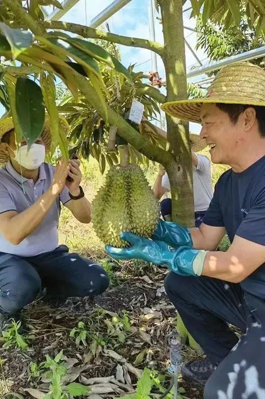 冲上热搜！价格大降