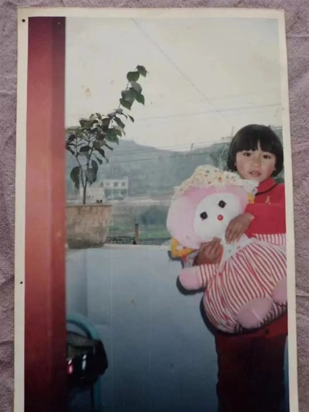 发自己的照片寻亲！32年前，她亲眼目睹双胞胎妹妹被抱走