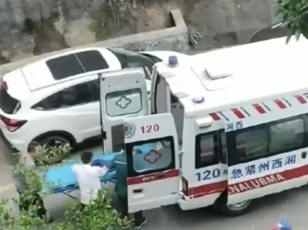 太吓人！4岁男孩撑伞从26楼跳下……又是动画片的锅？