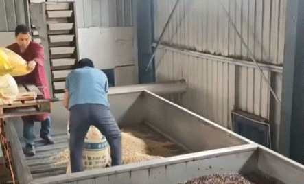“人要连粮食都吃不上了，谁还吃瓜子？”