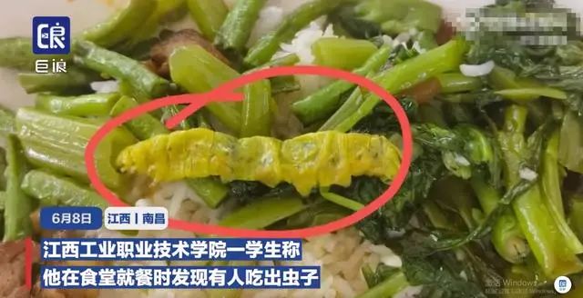 “鼠头鸭脖”高校学生吐槽，又在食堂吃出大青虫