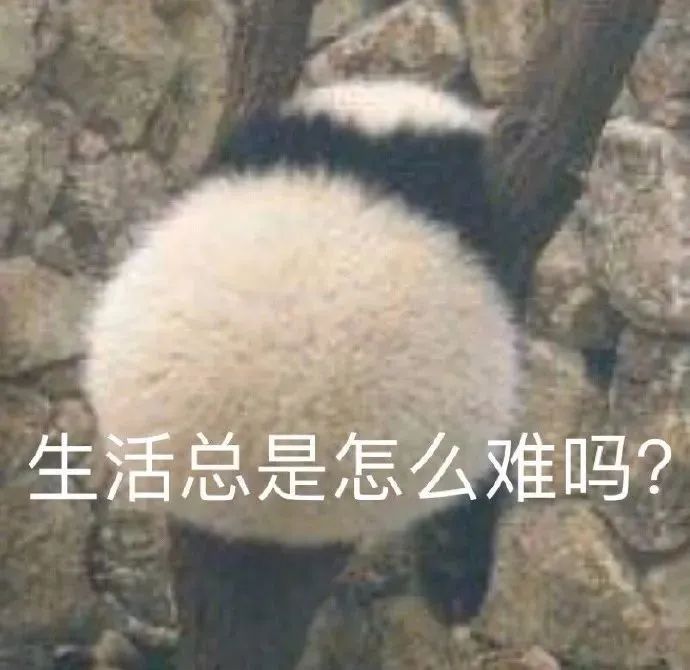 【热议】网传大学生涉嫌卖淫800次赚120万？官方通报！