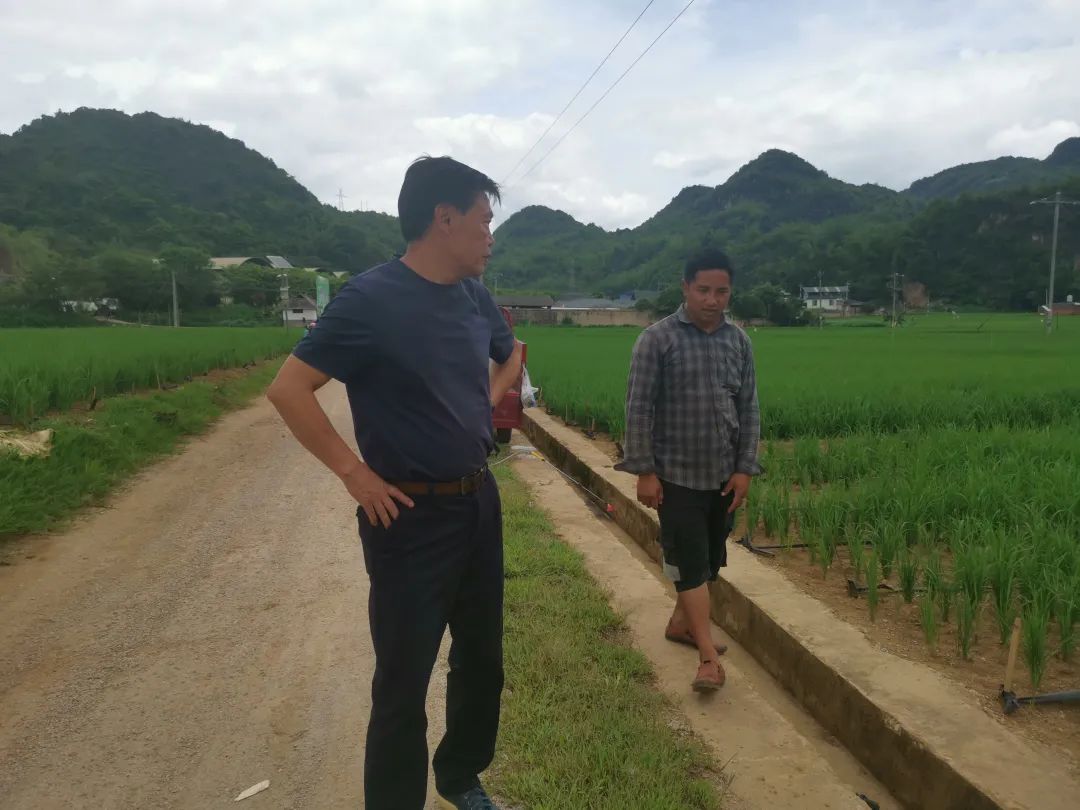“水稻上山”引质疑，朱有勇院士回应