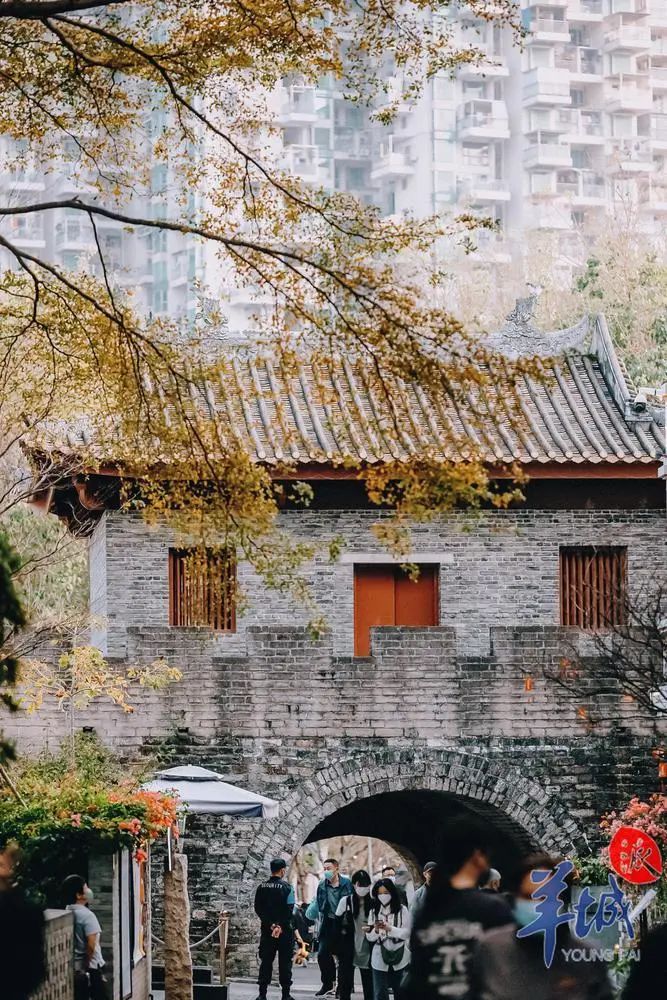 广东新增9家省级旅游休闲街区，等你来体验！
