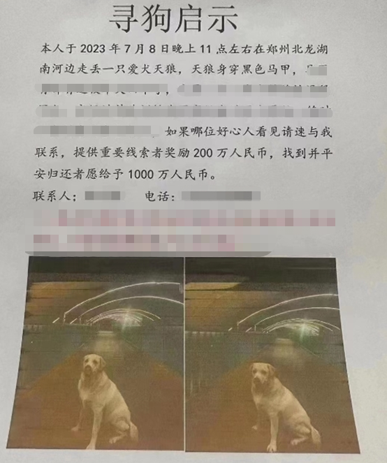 “郑州有人悬赏1000万寻狗”，最新消息：狗已找到，给了5000