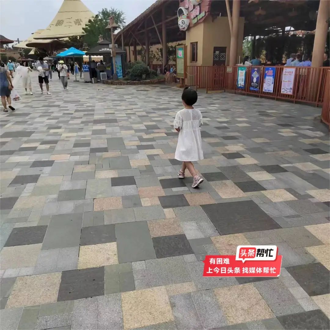 身高超1米1需买票但多数项目超1米2才能玩？景区回应：很多可观赏 ...