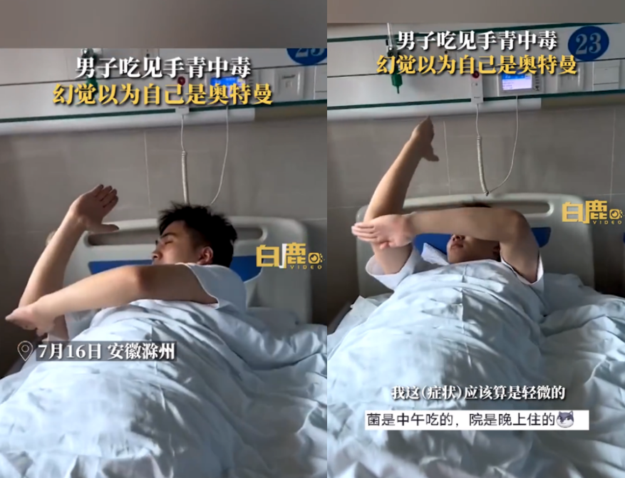 以为自己是“奥特曼”！网购野生菌，男子吃中毒