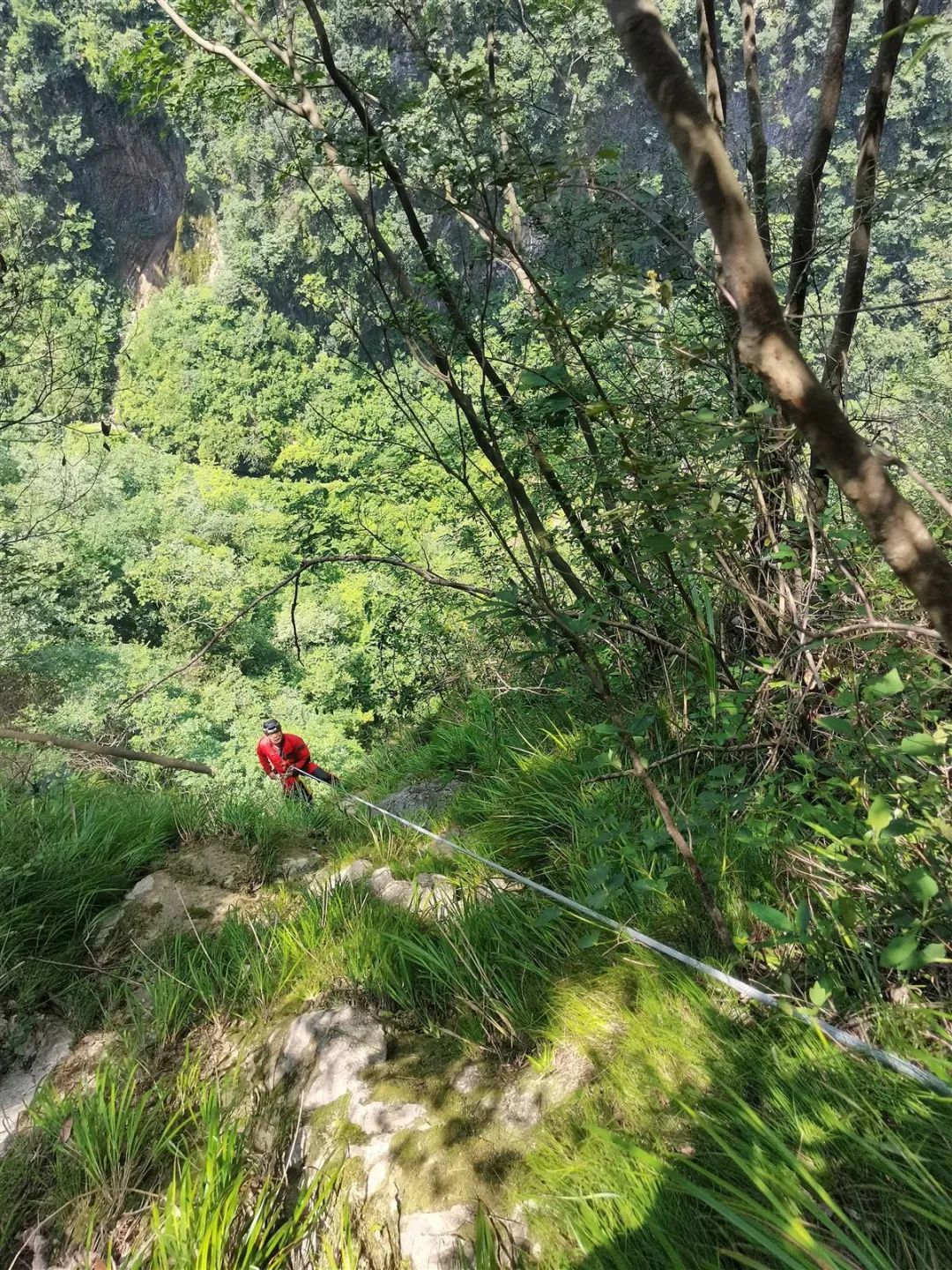 “想为自己生日添道菜”，女子上山采蘑菇失联，在数百米悬崖下被找到…… ...