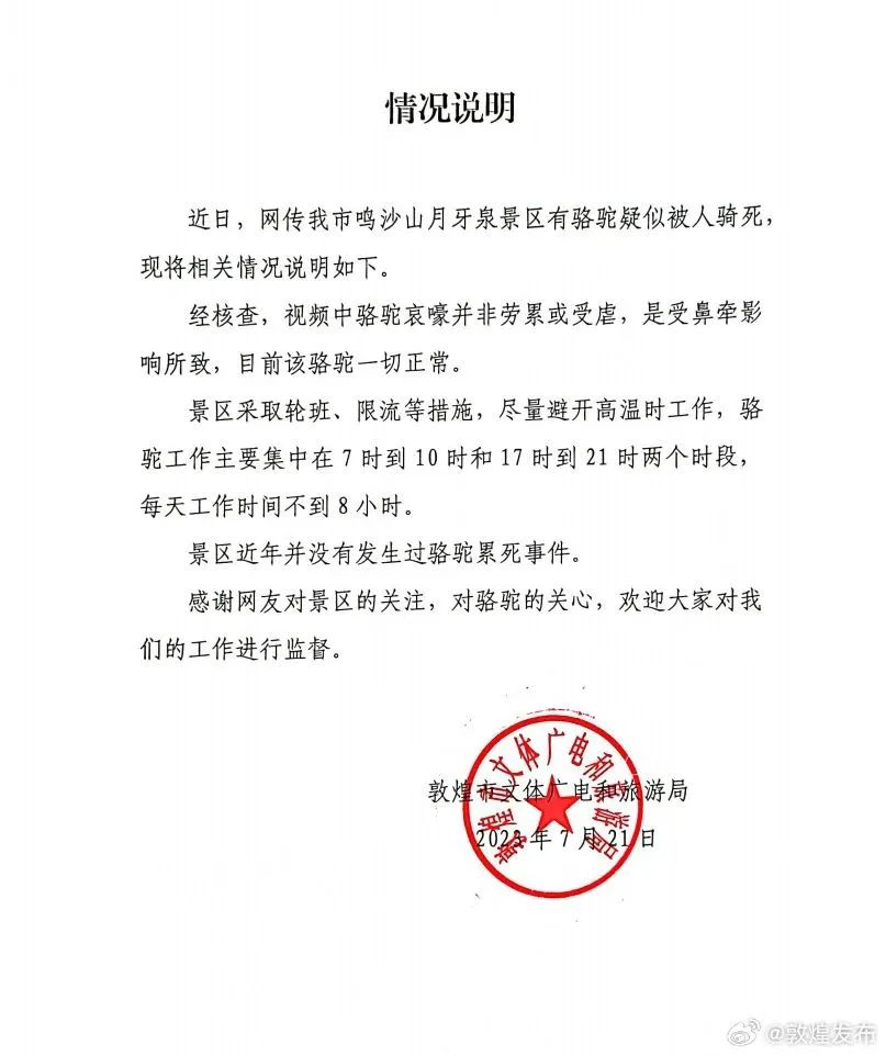 敦煌骆驼疑似被人“骑死”？官方回应