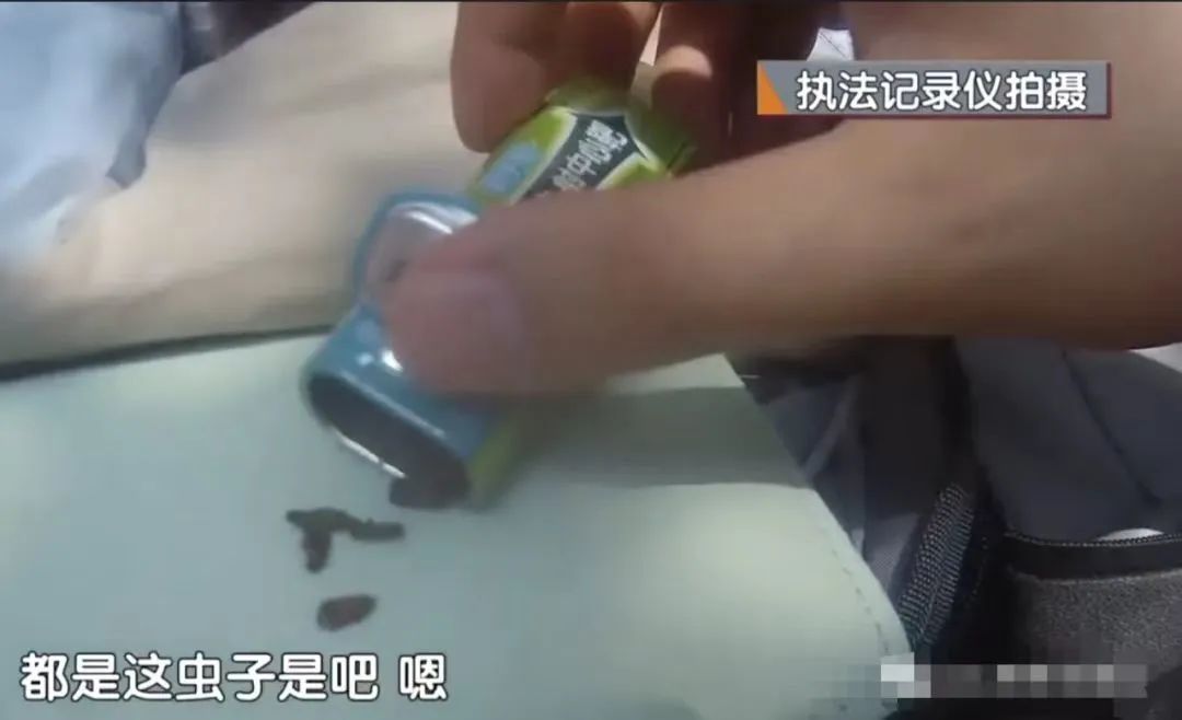 活久见！男子口含蟑螂下馆子，就餐后敲诈商家10倍赔偿......