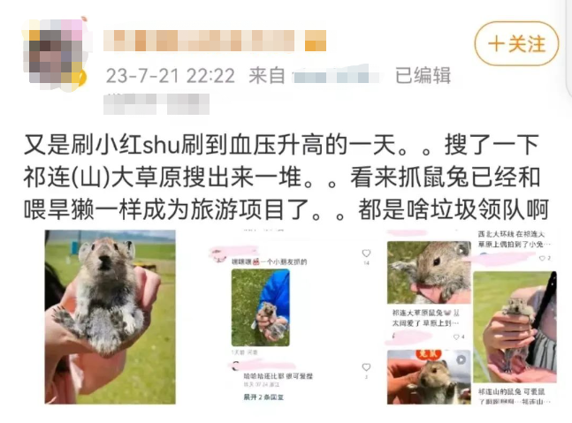 旅游流行手持这个拍照？紧急提醒：或致命！