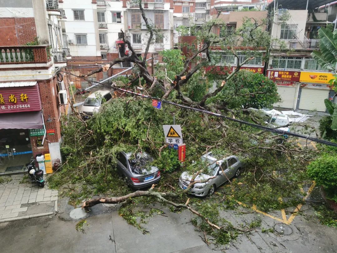 有人被困、受伤！“杜苏芮”多地肆虐，广东未来天气……