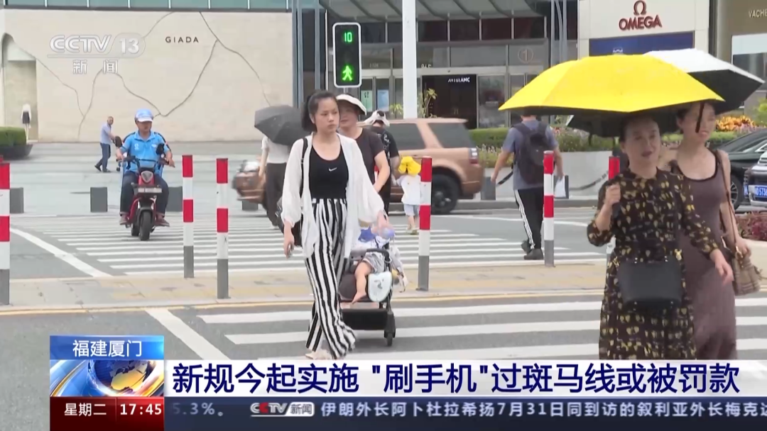 刷手机过斑马线或被罚款！ 一地新规实施