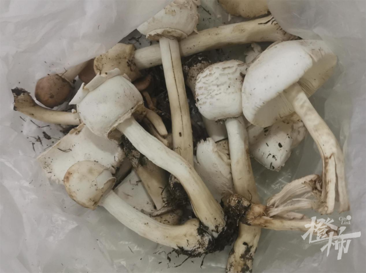 真的不要冒险尝试，死亡率相当高！又有人因此进了医院