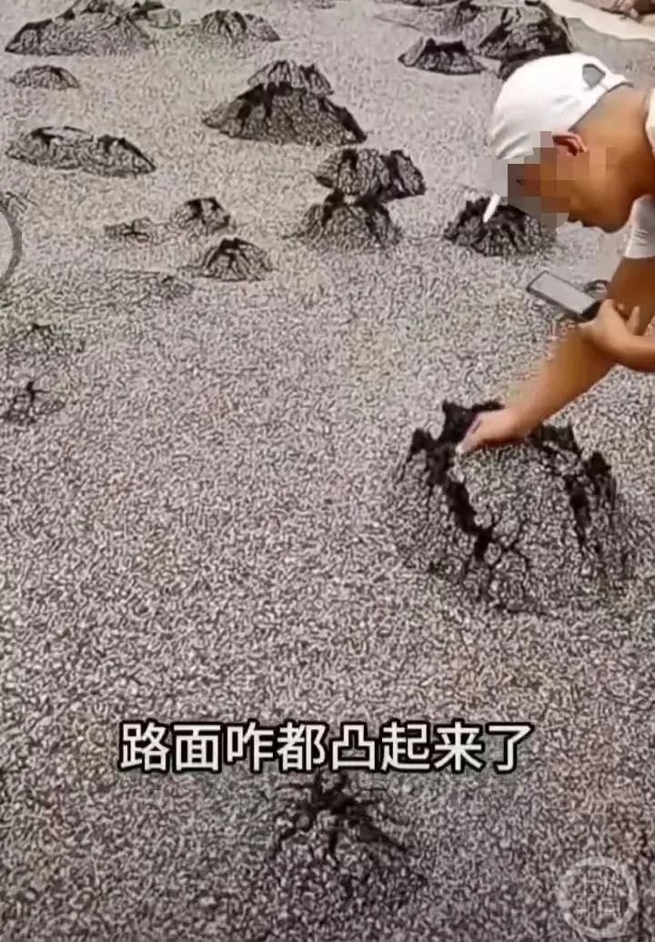 路面“长出石头”？当地交通局通报