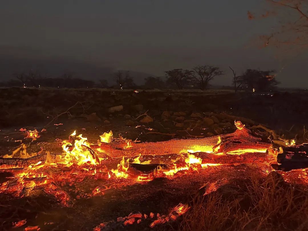 已致53人死亡！知名旅游胜地大火，“像被轰炸后的战区”！紧急提醒…… ... ...