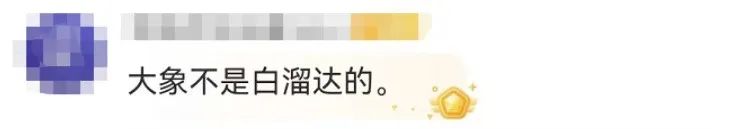 立功了！亚洲象走着走着，一鼻子甩出2.8公斤毒品