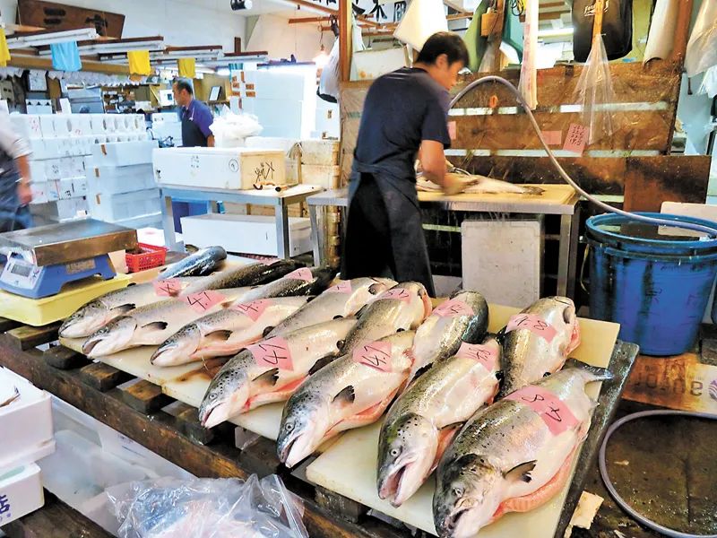 本國國民不吃福島魚，日本水產品價格面臨暴跌