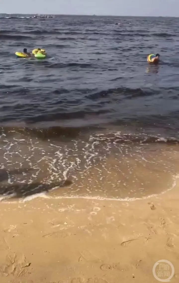 “辽宁一海域海水变黑”？当地回应
