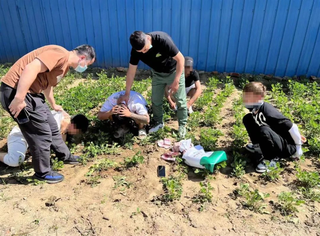 冒充“领导”诈骗又来了，千万别上当