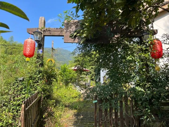 浙江夫妻砸50万这样养老，接下来一幕冲上热搜！网友：羡慕了 ... ...