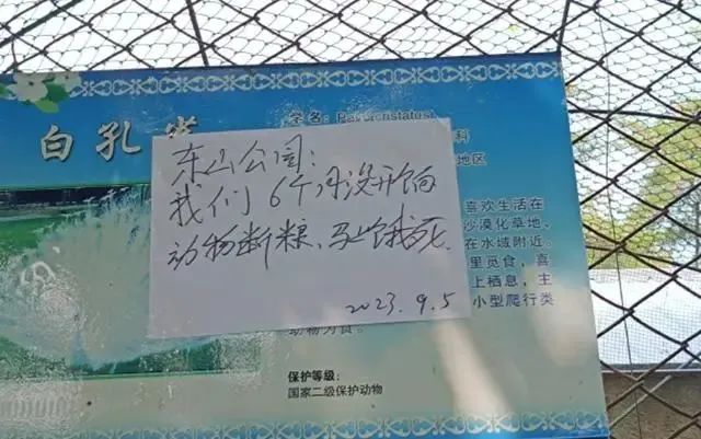“动物园即将断粮、半年未发工资”？最新进展