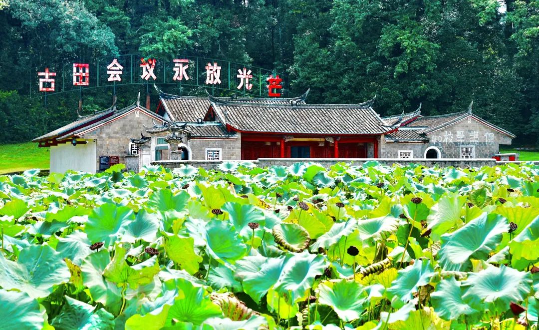 47家景区对广州市民免首道门票，这里成“老广”热门“打卡地” ... ...