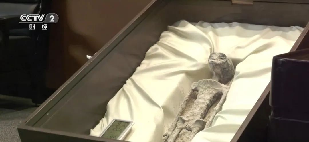 热搜第一！疑似“外星生物”遗骸亮相 DNA显示并非人类