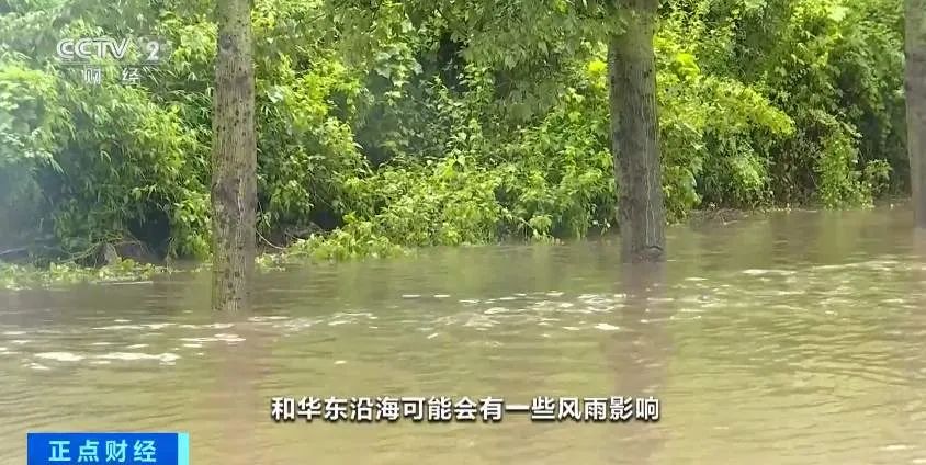 双节期间或将生成1-2个台风，会影响出行吗？