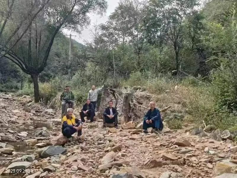 6个平均年龄64岁的老人，暴雨里救下一条命……