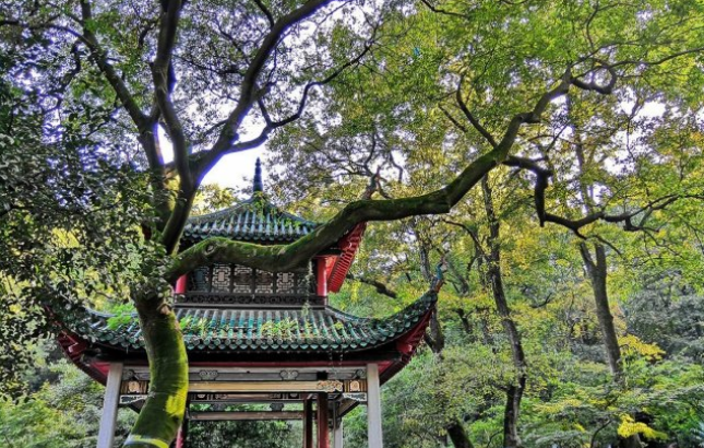 长沙十大免费旅游景点 长沙不要门票的景点 可以免费游玩的地方 ... ...