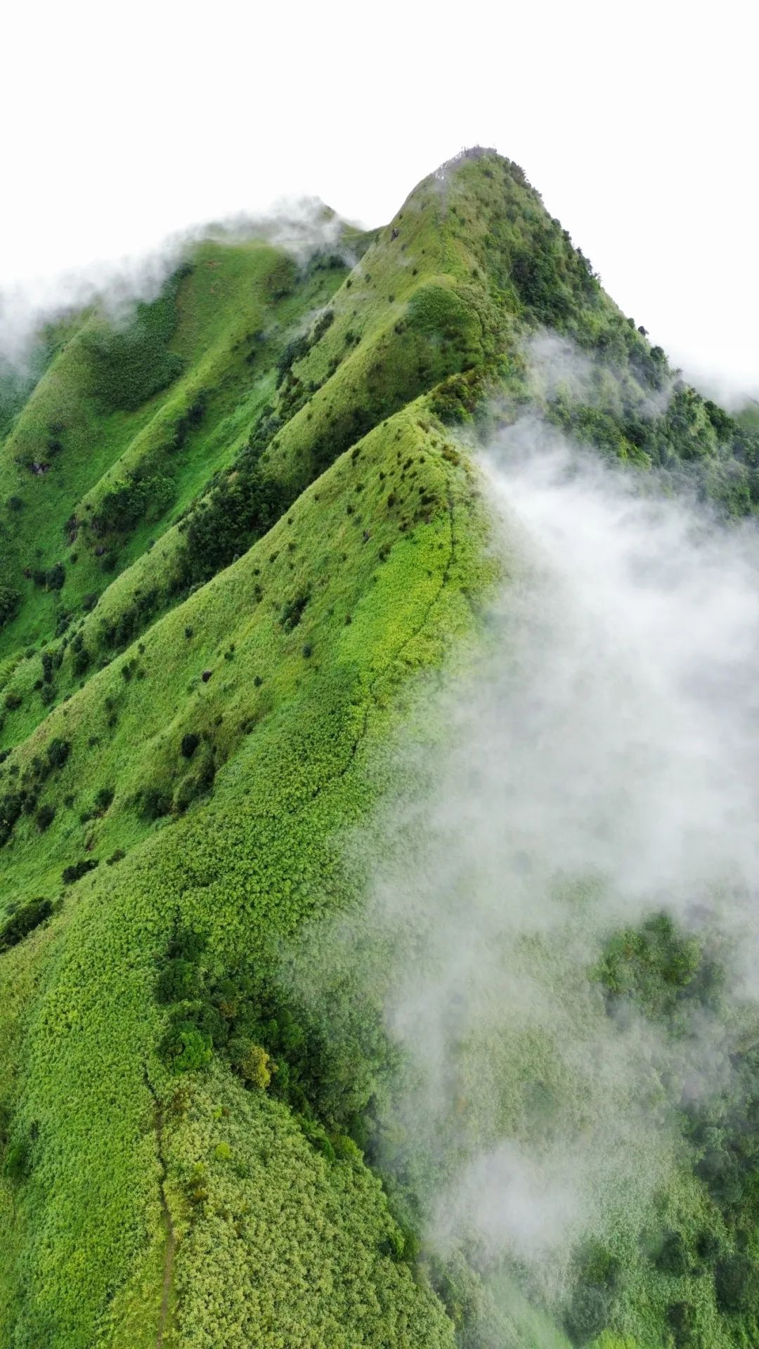 穿越粤西“武功山”三官山，赏日出摄影高山草甸~
