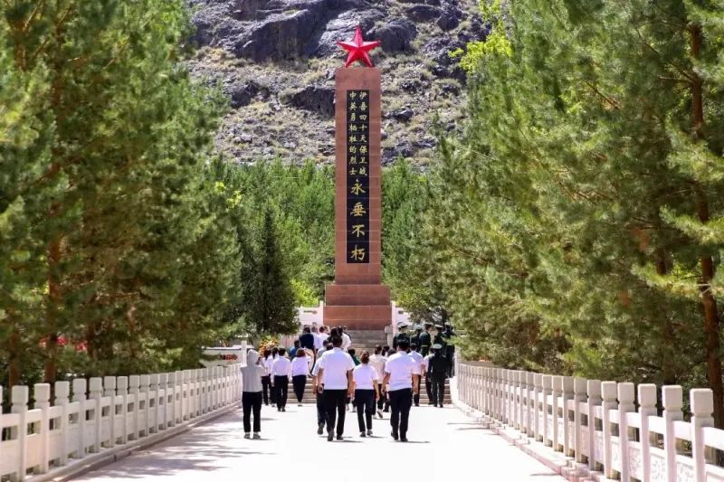 烈士陵园的树，长着“五角星”
