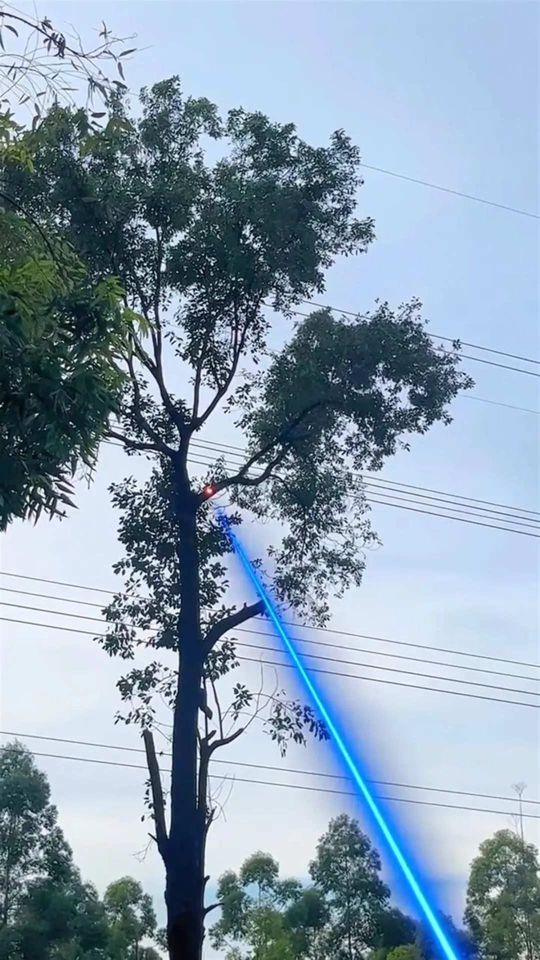 激光炮剪树枝？研发公司回应