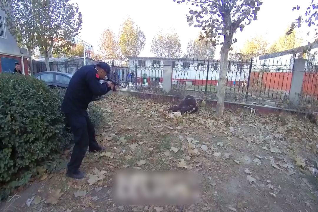 特警出动！当场击毙