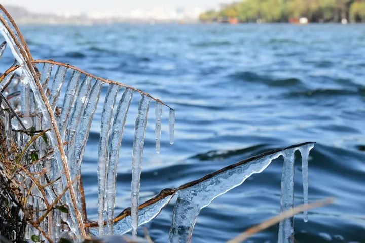 那一年西湖可溜冰，结全冰为何难再现？