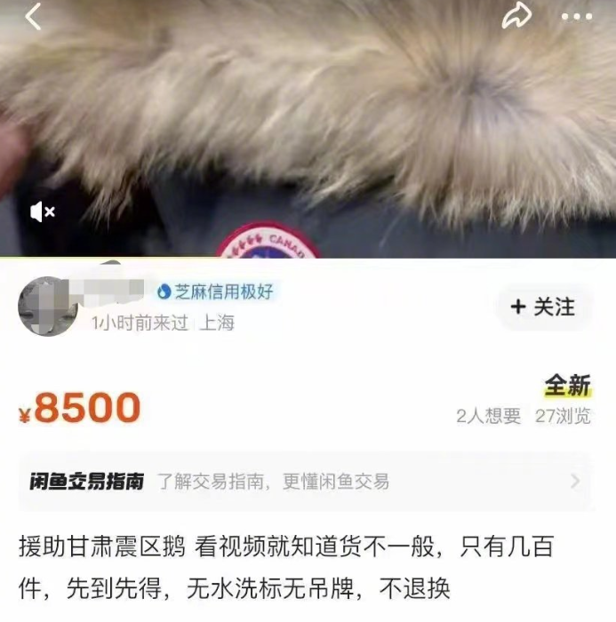 加拿大鹅捐赠甘肃震区羽绒服被倒卖？多方回应