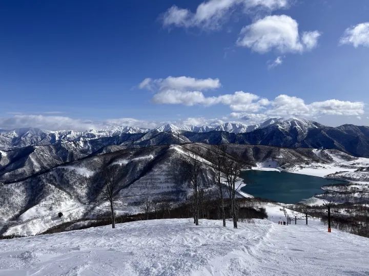 27岁中国女游客在日本滑雪时身亡，更多内情曝光！中领馆紧急提醒 ... ...