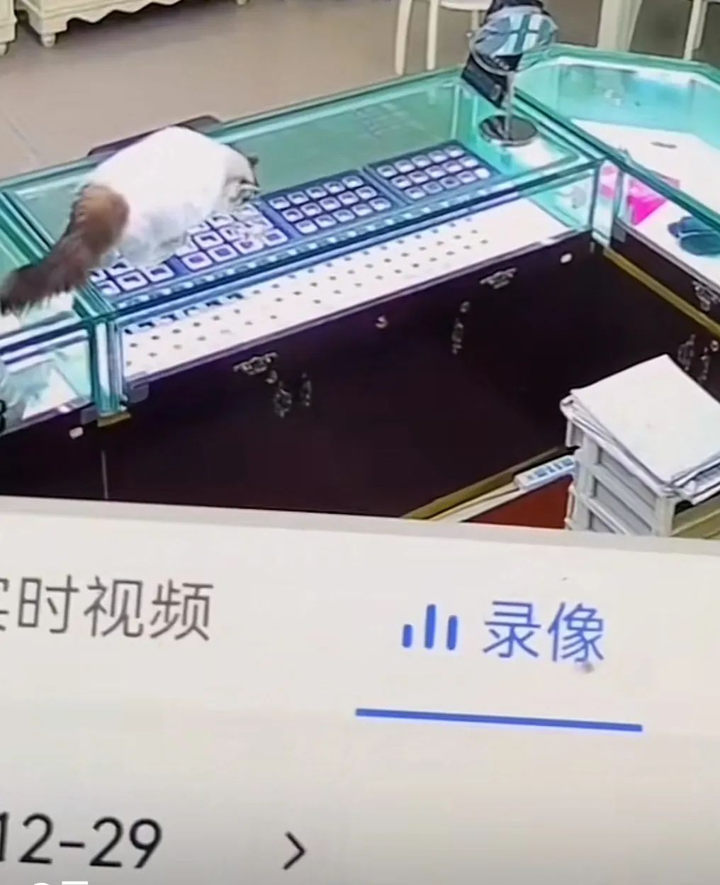 上海一珠宝店钻石误被猫咪吞食，店员：老板戴手套从大便里掏出 ... ... ...