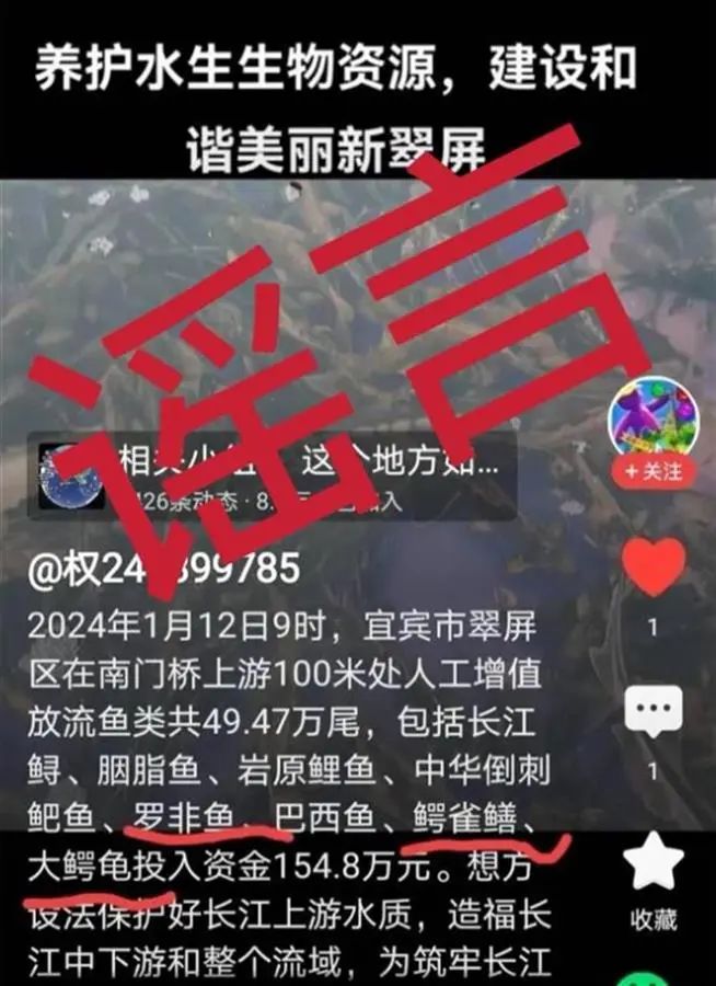 官方辟谣“往长江里投放鳄雀鳝”，是谁在给增殖放流带节奏？ ... ...