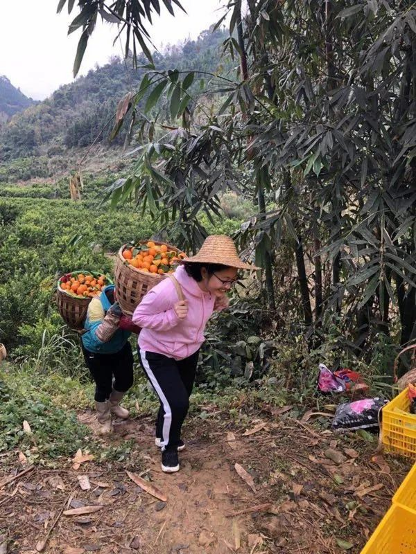 “当年你带领百坭村种下的砂糖橘已平安送达母校，很甜……” ... ...