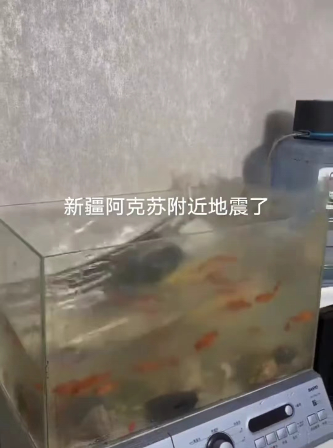 亲历者讲述新疆7.1级地震：凌晨被震醒，一家三口做好逃生准备 ... ...