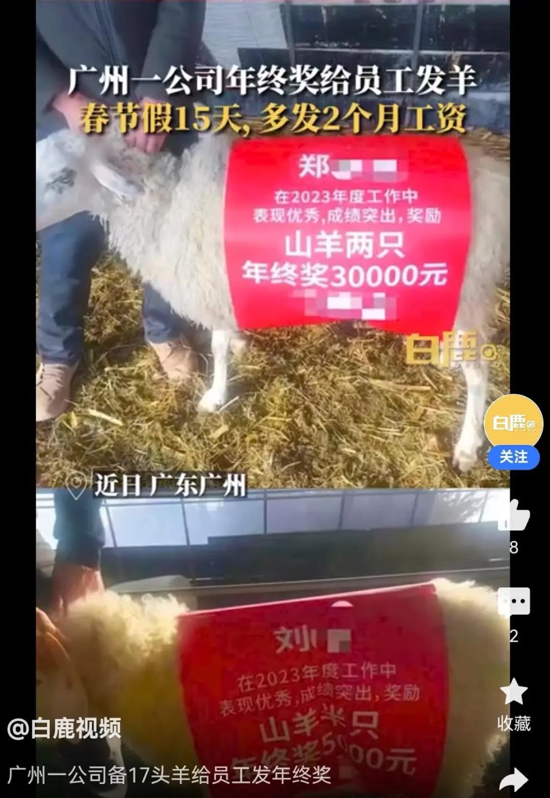 一公司今年奖员工17头羊、多发两月工资！曾因年终奖致歉