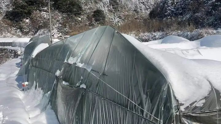 浙江男子一条求助朋友圈火了